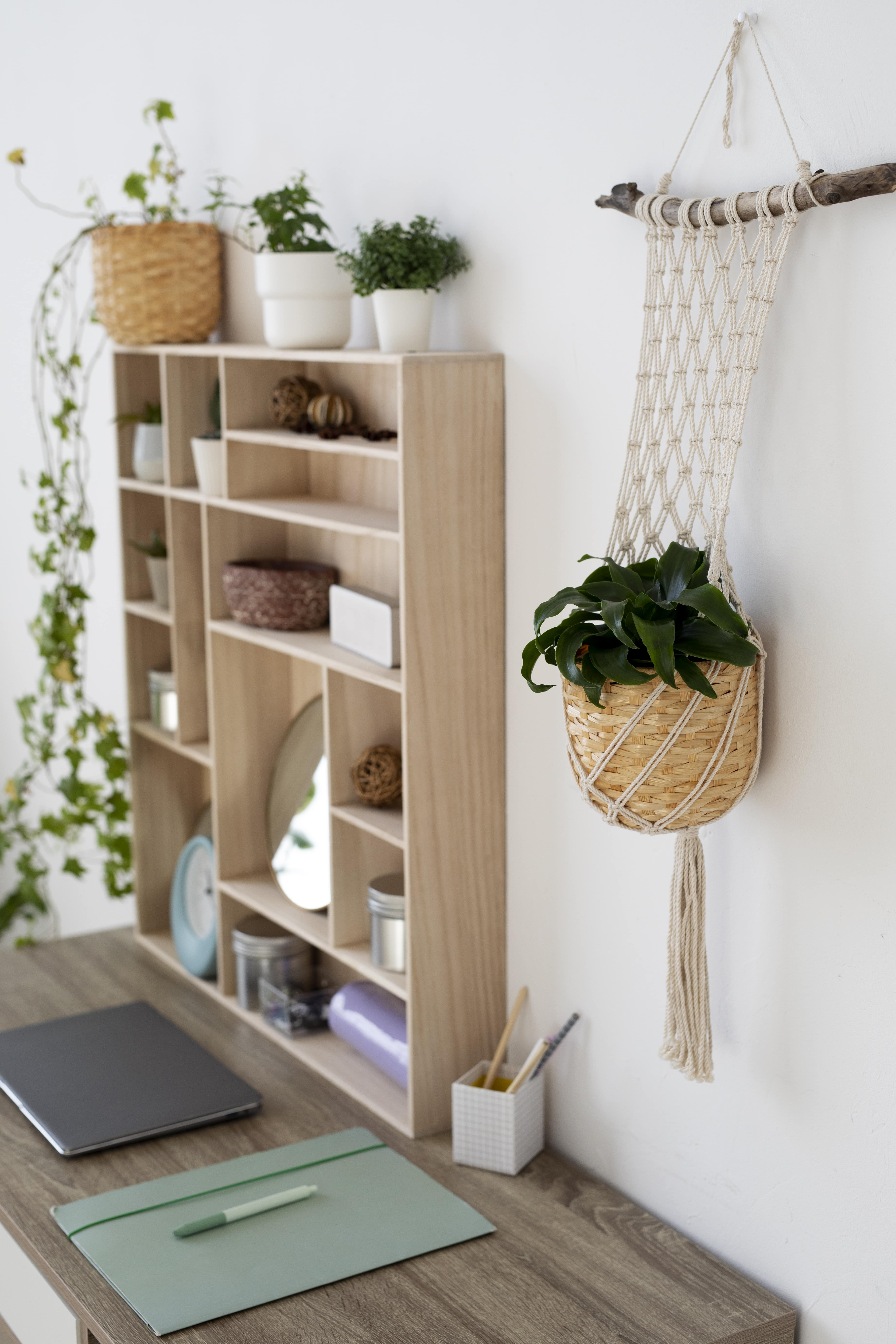 Organizar o quarto, belo design de interiores com planta.